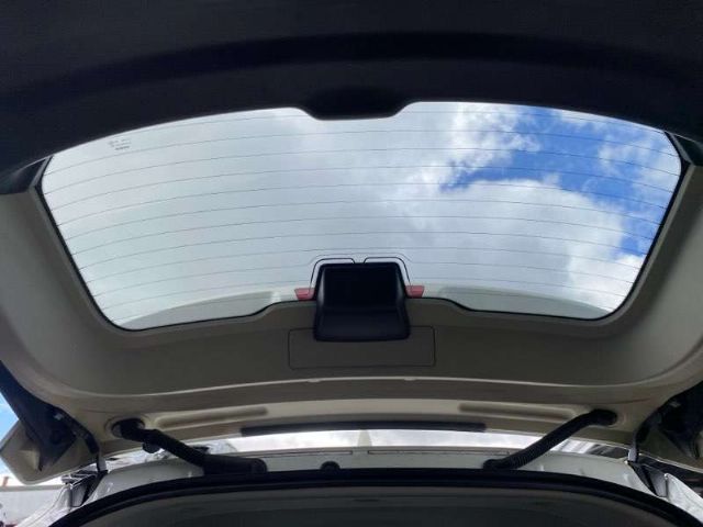 Tailgate Glass