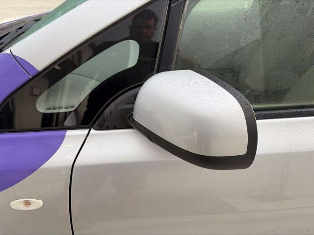 Lf Door Elec Mirror (5 Wire)