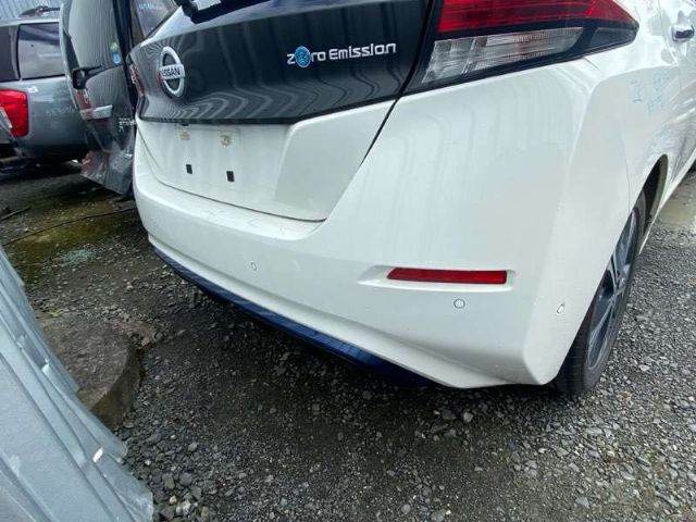 Rear Bumper Moulding