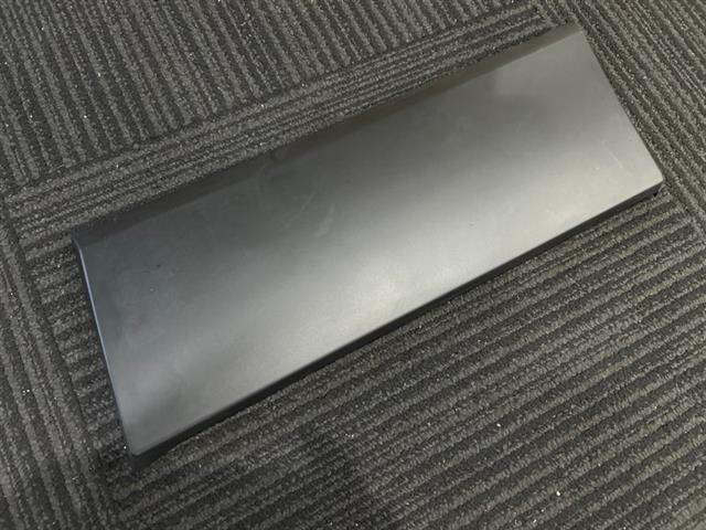Lr Guard Moulding