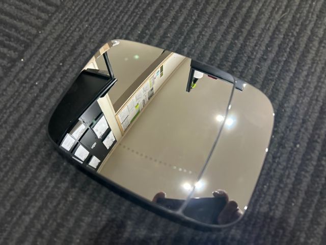 Lf Door Mirror Glass