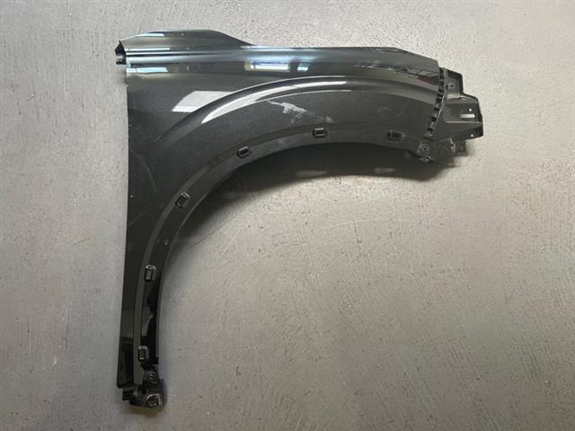 Rf Guard/fender (flare Type)