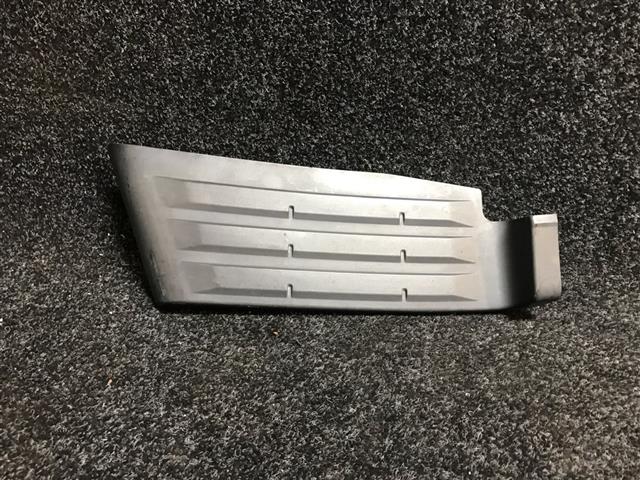 Rr Bumper Step Cover