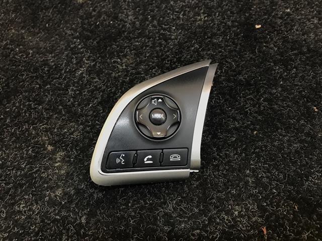 Steering Wheel Controls Lh