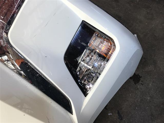 Lf Bumper Light (3 Bulb)