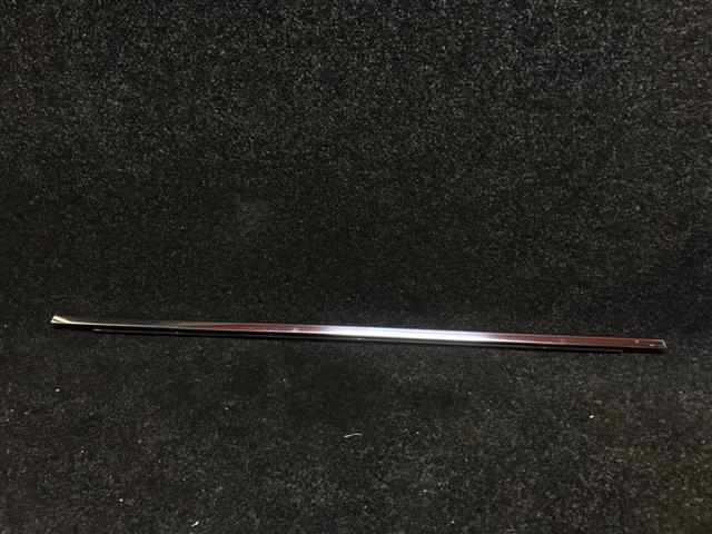 Rr Door Weather Strip Mould