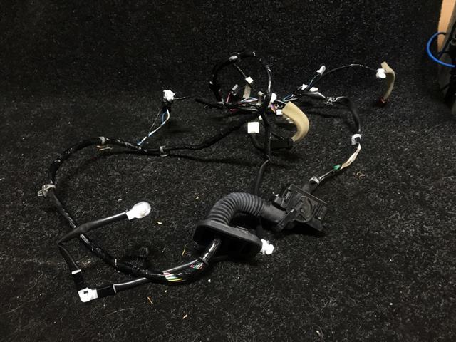 Rf Door Wiring Loom