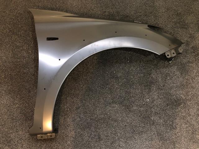 Rf Guard/fender (flare Type)