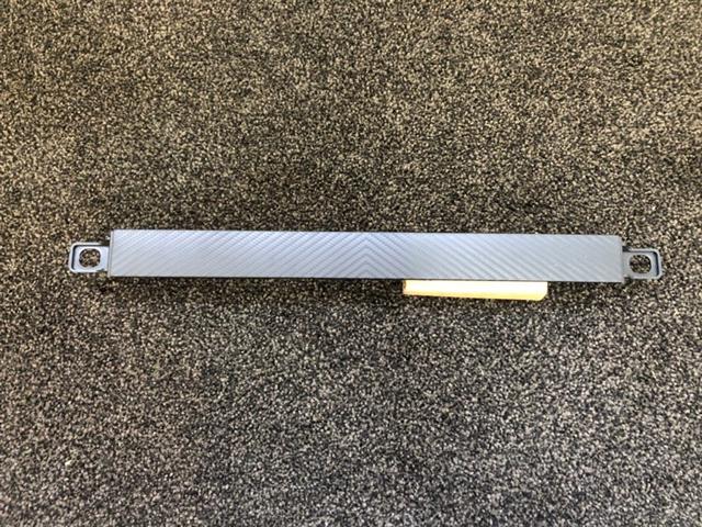 Rear Bumper Moulding