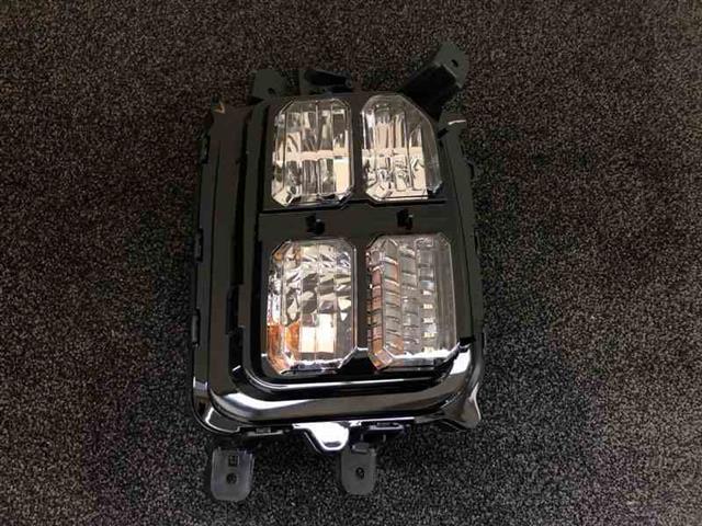 Lf Bumper Light