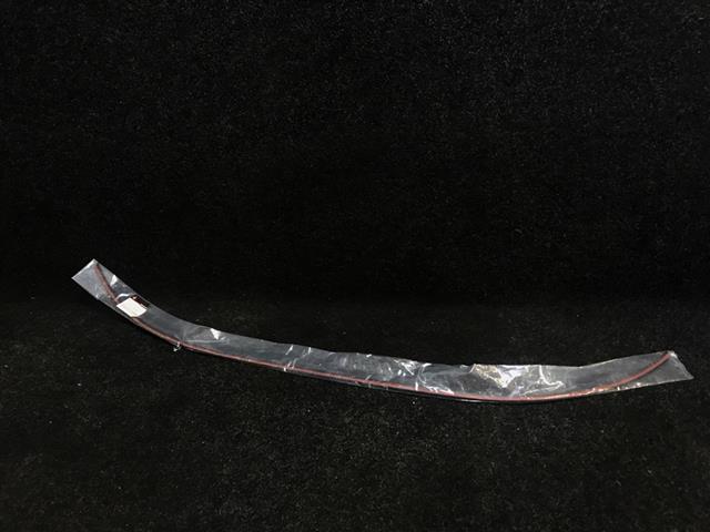 Top Windscreen Mould