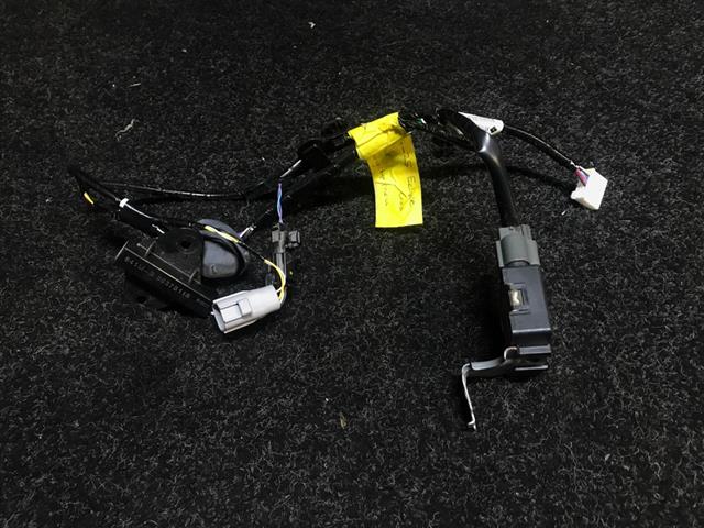 Wiring Loom