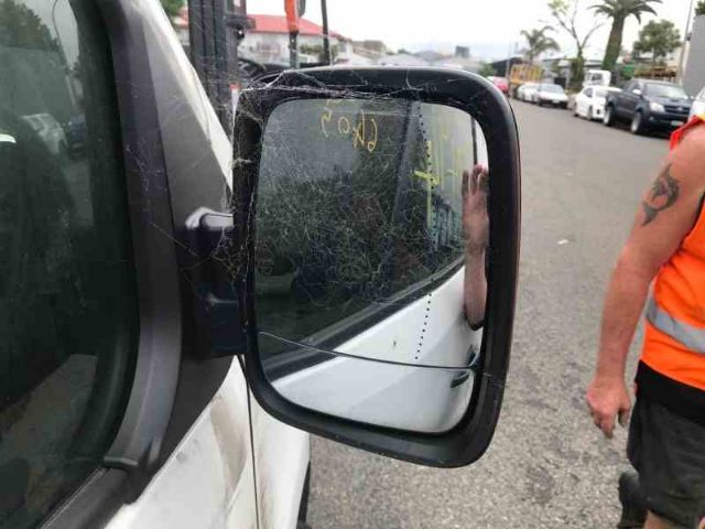 Rf Door Elec Mirror (5 Wire)