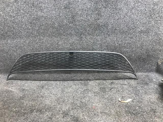 Front Bumper Grille Lower