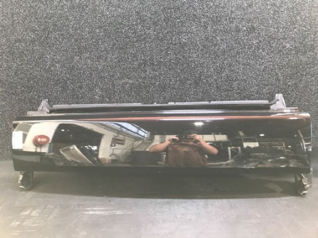 Lower Tailgate Complete