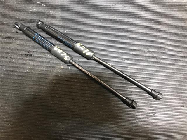 Bonnet Gas Strut