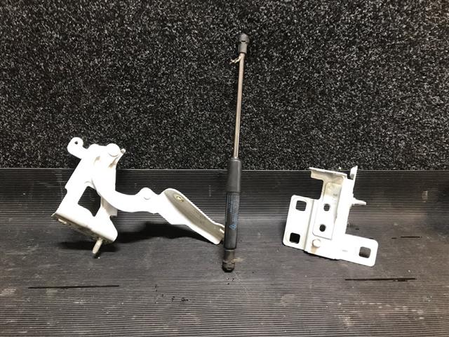 L Bonnet Hinge 