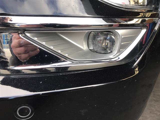 Lf Fog Light