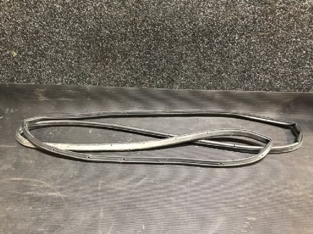 Rr Door Rubber