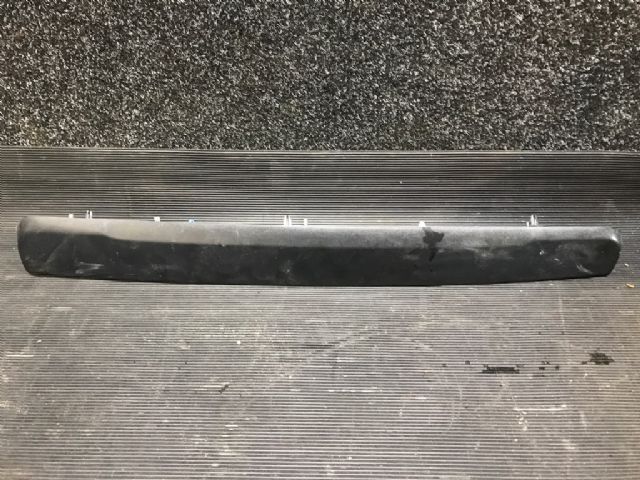 Rear Licence Plate Garnish