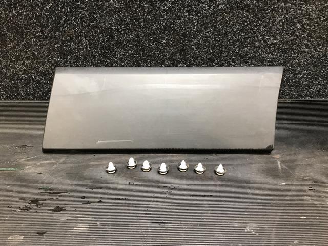Lr Guard Moulding