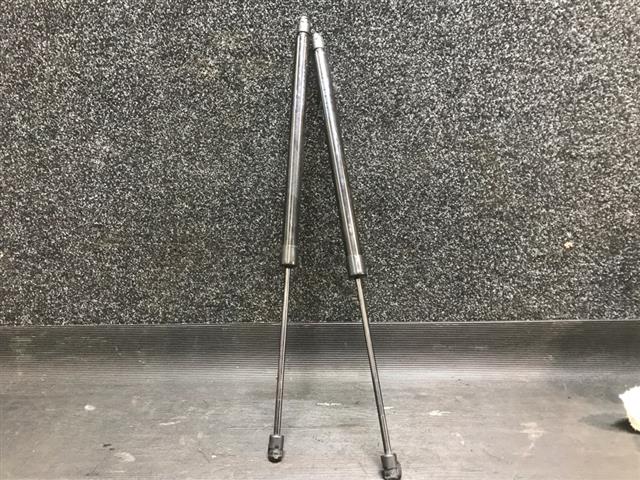 Tailgate Struts (set)