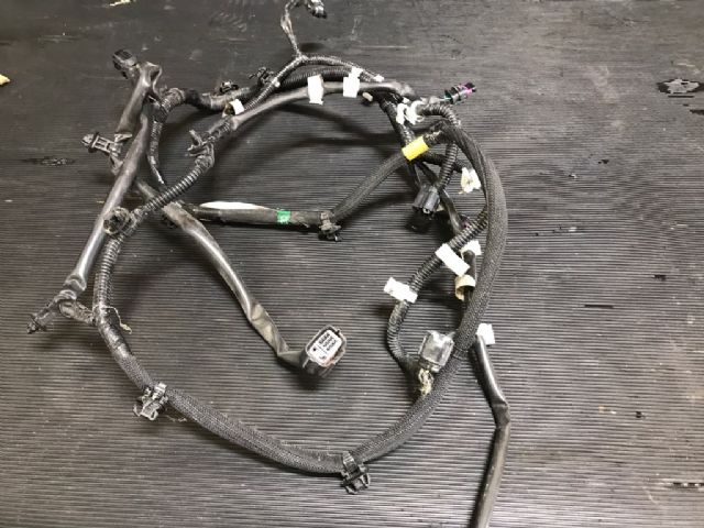 Spotlight Wiring Loom