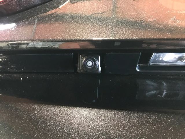 Rear Camera