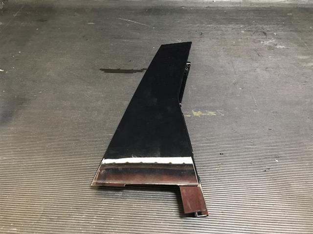 Rr Door Moulding