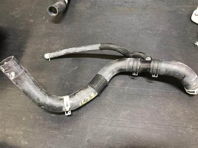 Radiator Hose (lower)