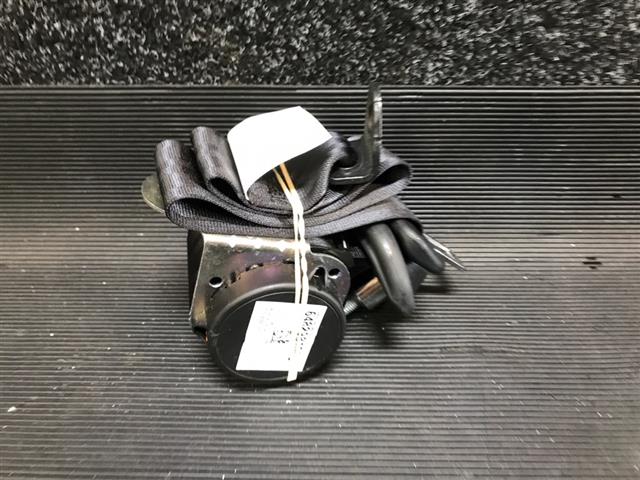 Rr Rear Seat Belt