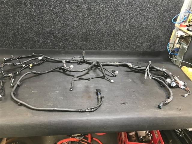 Engine Wiring Loom