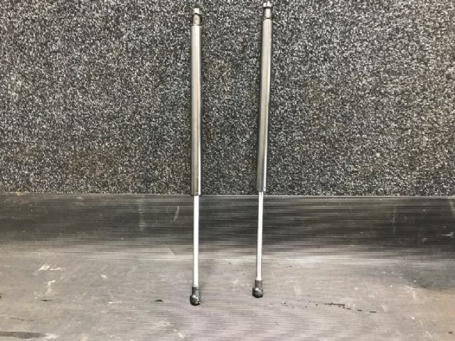 Tailgate Struts (set)