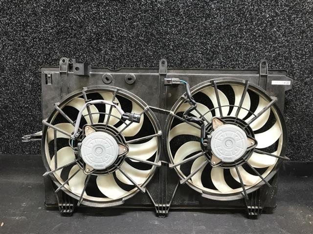Radiator Electric Fan Assembly