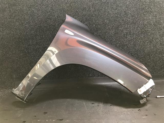 Rf Guard/fender