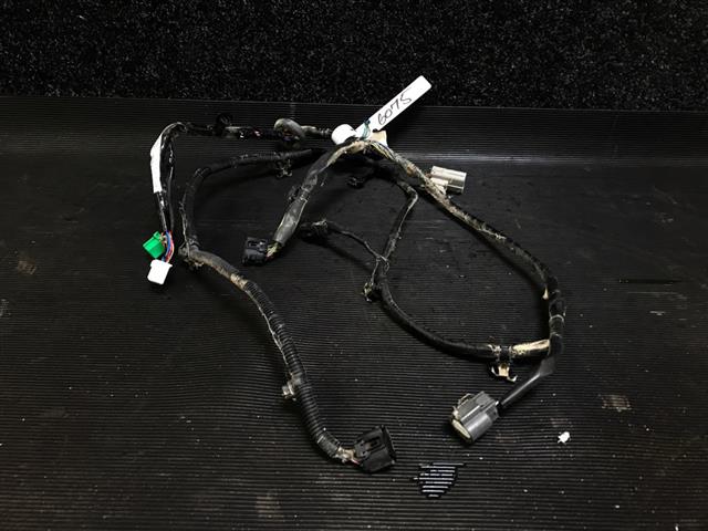 Wiring Loom