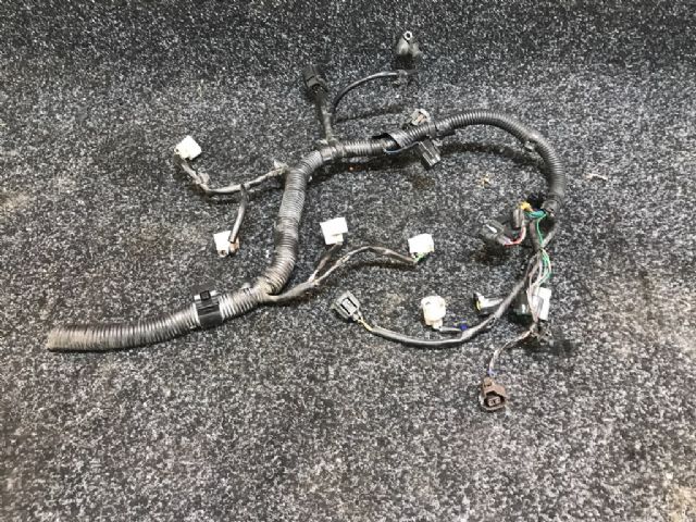 Wiring Loom