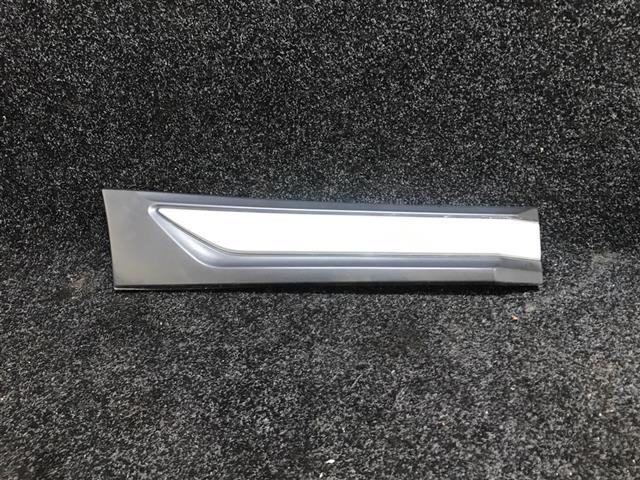 Rr Lower Door Moulding