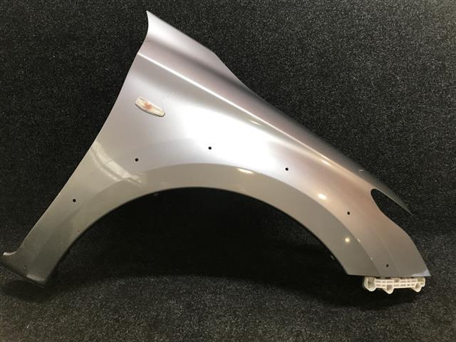 Rf Guard/fender (flare Type)