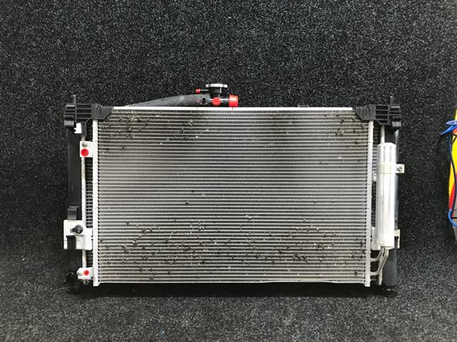 Radiator Electric Fan Assembly