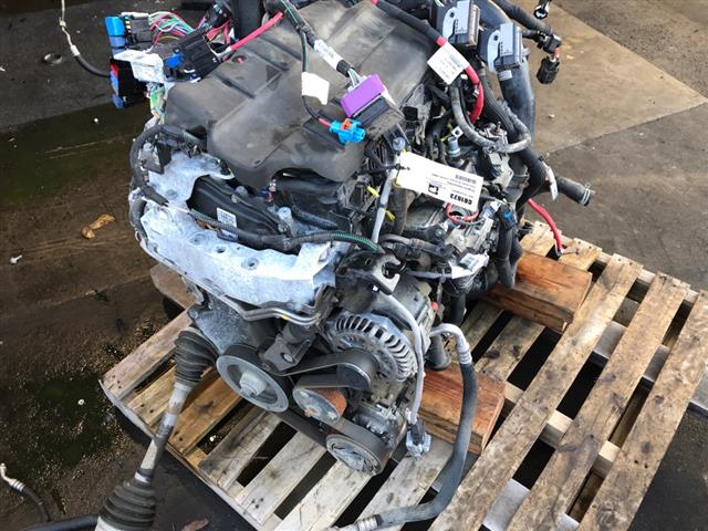 Engine Assembly
