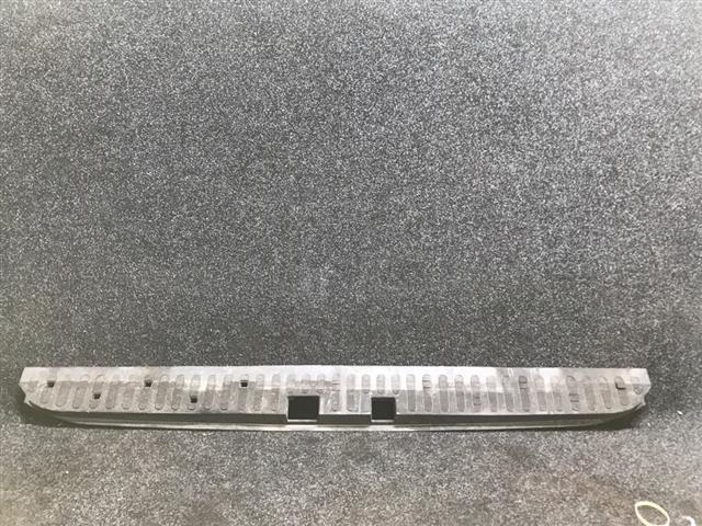 Rear Bumper Step