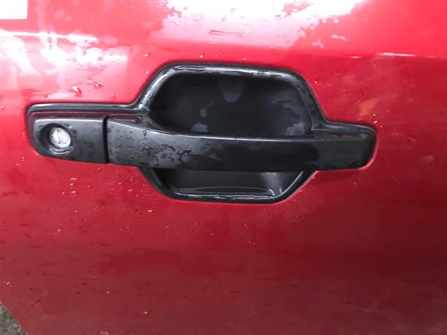 Rf Door Exterior Handle