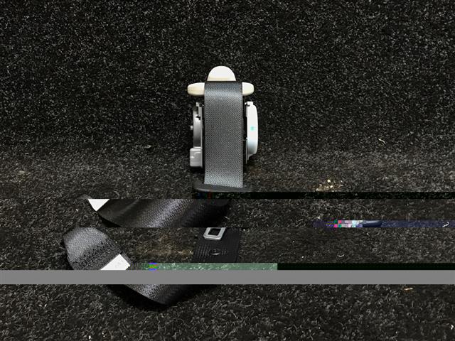 Rr Seat Belt