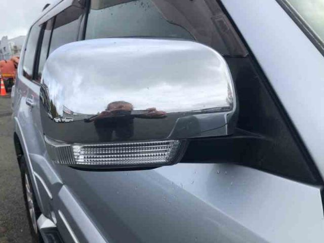 Lf Door Elec Mirror (10 Wire)