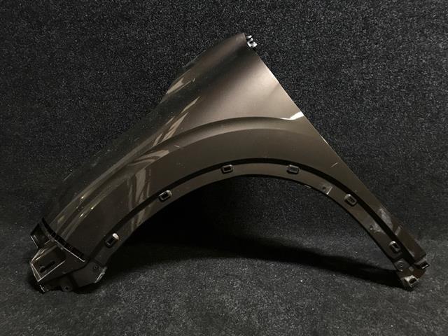 Lf Guard/fender