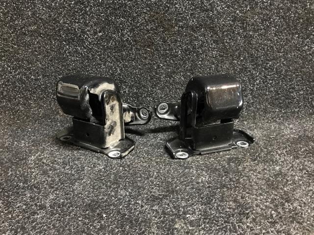 Rr Door Hinges (set)