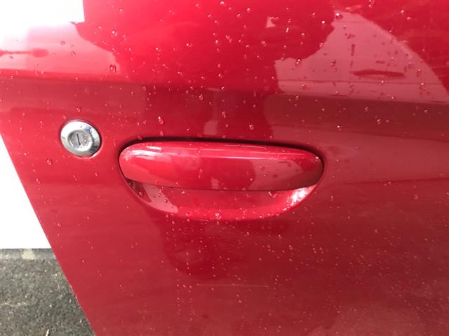 Rf Door Exterior Handle