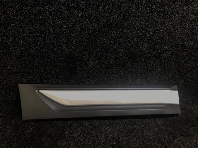 Rr Lower Door Moulding