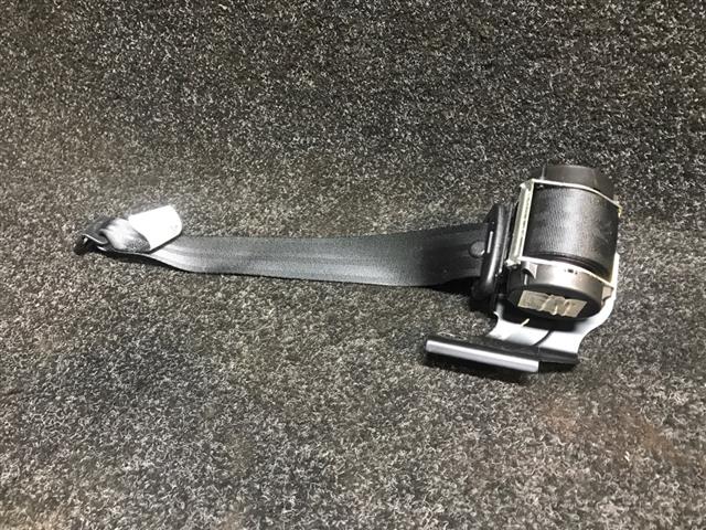 Rr Seat Belt